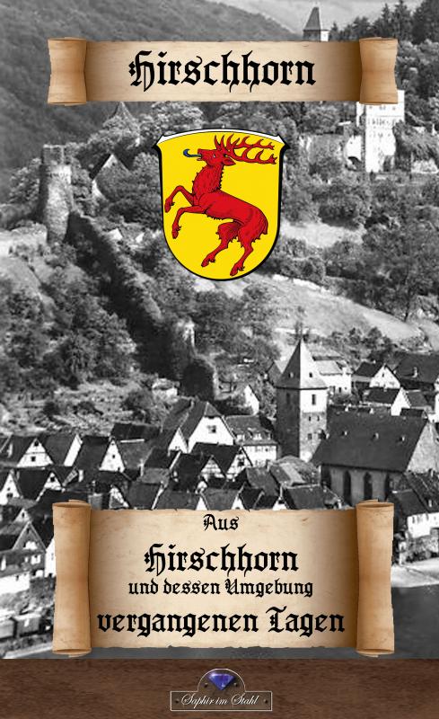 Cover-Bild Aus Hirschhorn und dessen Umgebung vergangenen Tagen