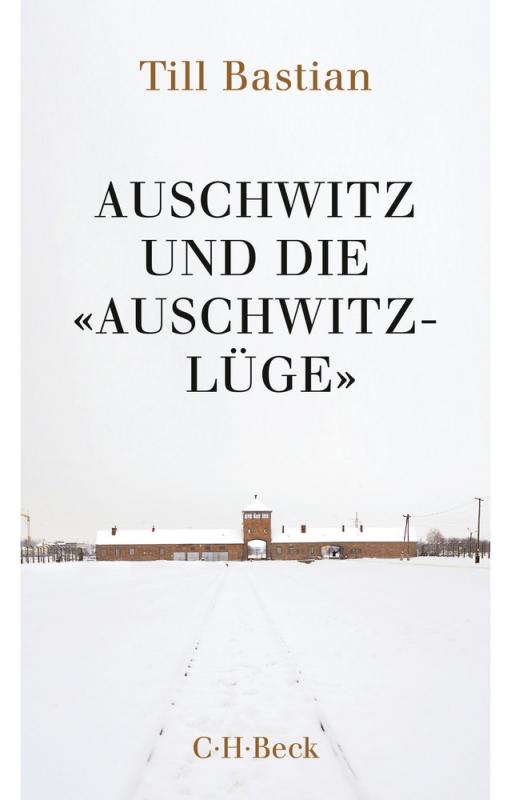 Cover-Bild Auschwitz und die 'Auschwitz-Lüge'