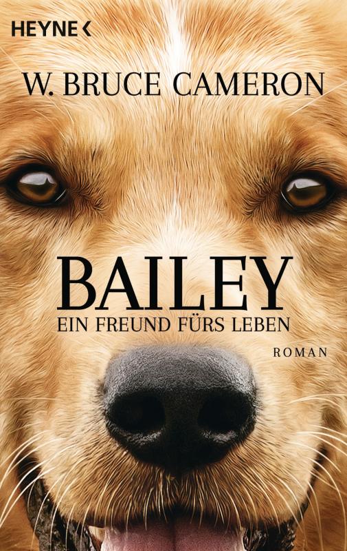 Cover-Bild Bailey - Ein Freund fürs Leben