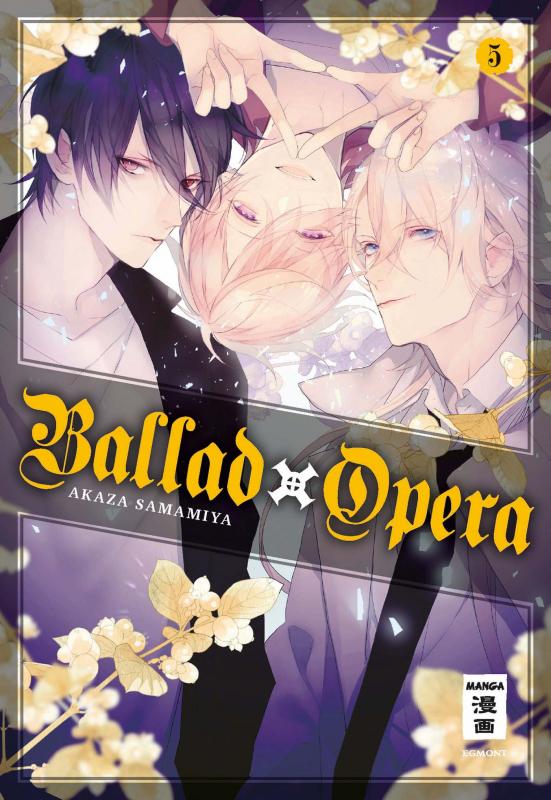Cover-Bild Ballad Opera 05