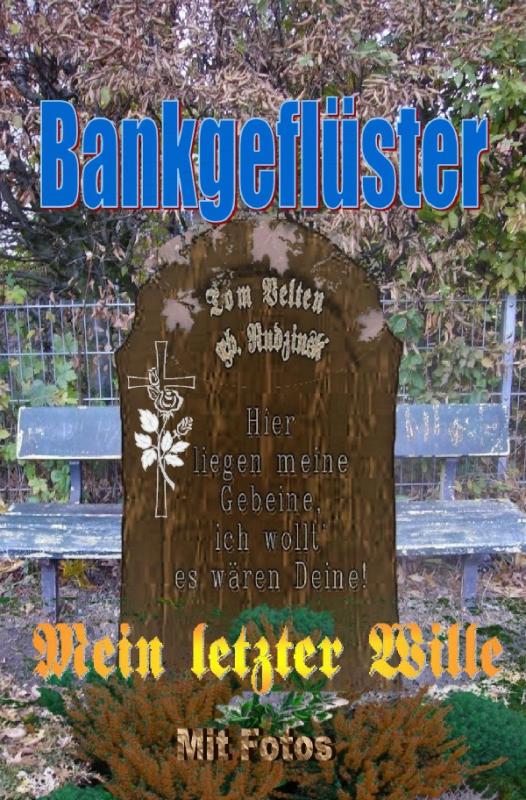 Cover-Bild Bankgeflüster - Mein letzter Wille