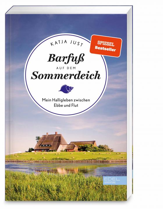 Cover-Bild Barfuß auf dem Sommerdeich
