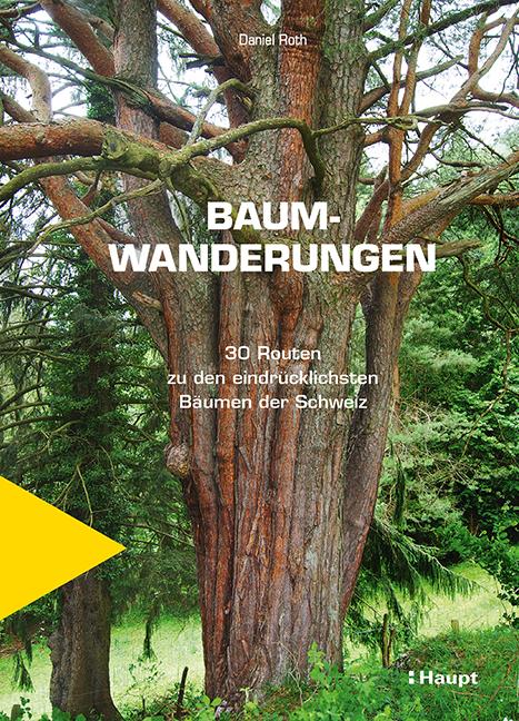 Cover-Bild Baumwanderungen
