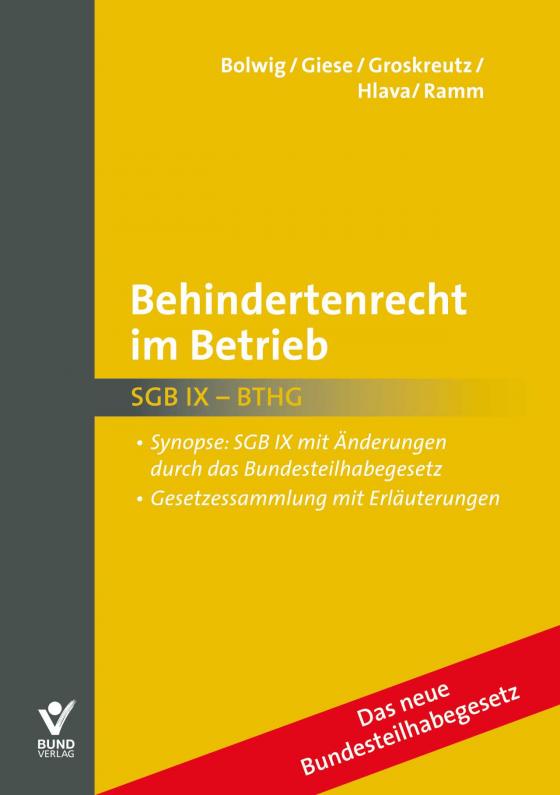 Cover-Bild Behindertenrecht im Betrieb
