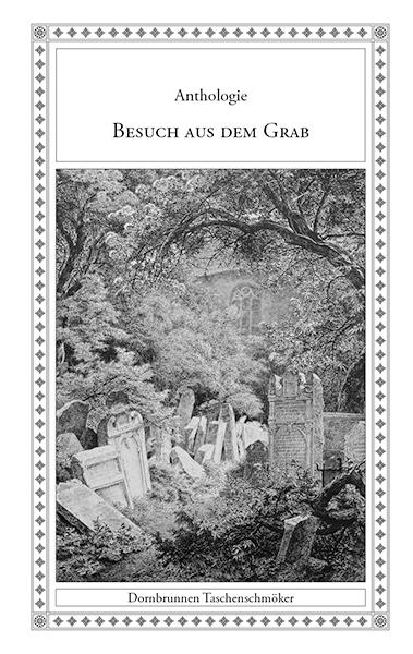 Cover-Bild Besuch aus dem Grab
