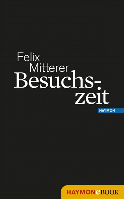 Cover-Bild Besuchszeit
