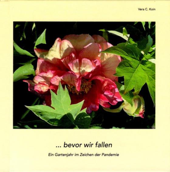 Cover-Bild --- bevor wir fallen