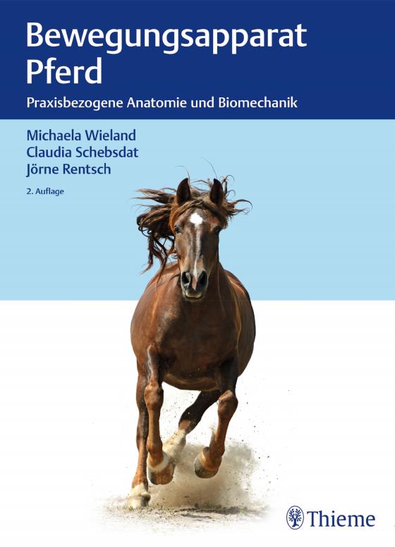 Cover-Bild Bewegungsapparat Pferd