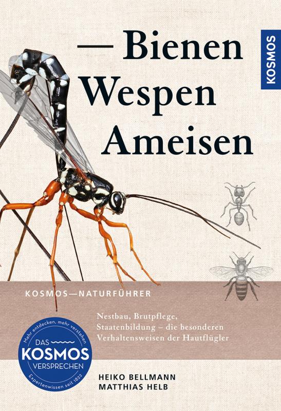 Cover-Bild Bienen, Wespen, Ameisen