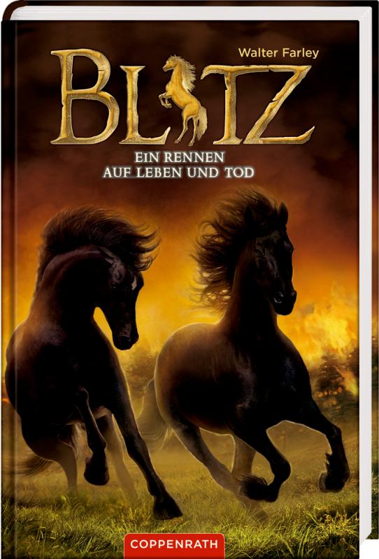 Cover-Bild Blitz (Bd. 4)