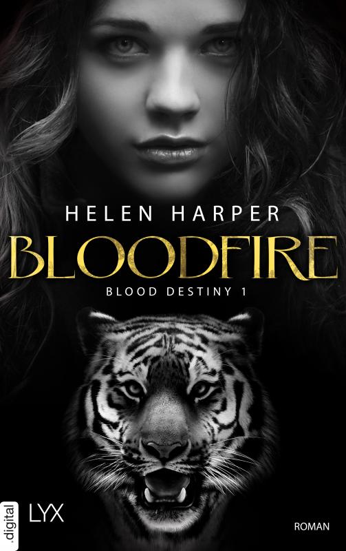 Cover-Bild Blood Destiny - Bloodfire
