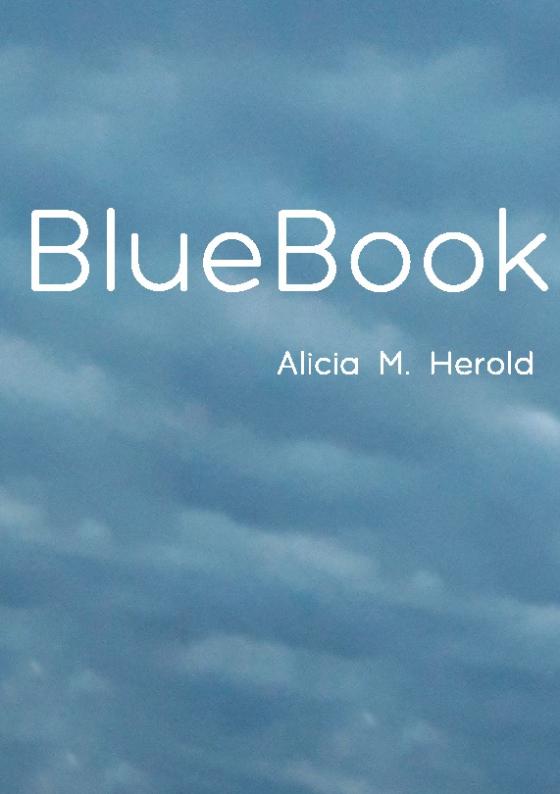 Cover-Bild BlueBook