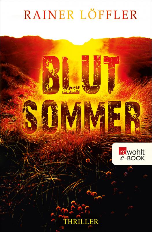 Cover-Bild Blutsommer