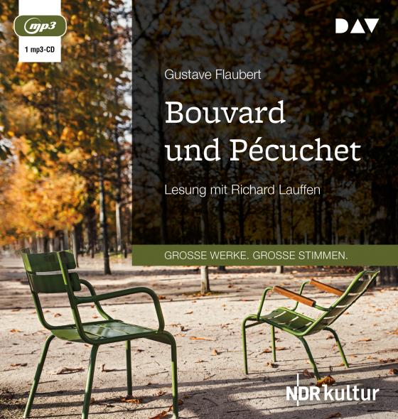 Cover-Bild Bouvard und Pécuchet