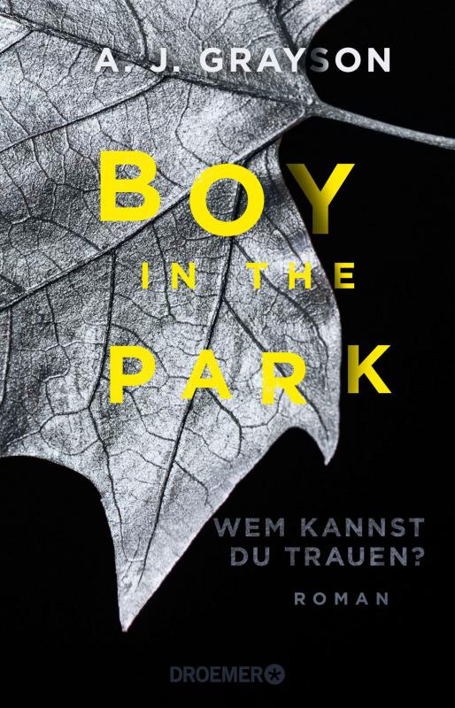Cover-Bild Boy in the Park – Wem kannst du trauen?