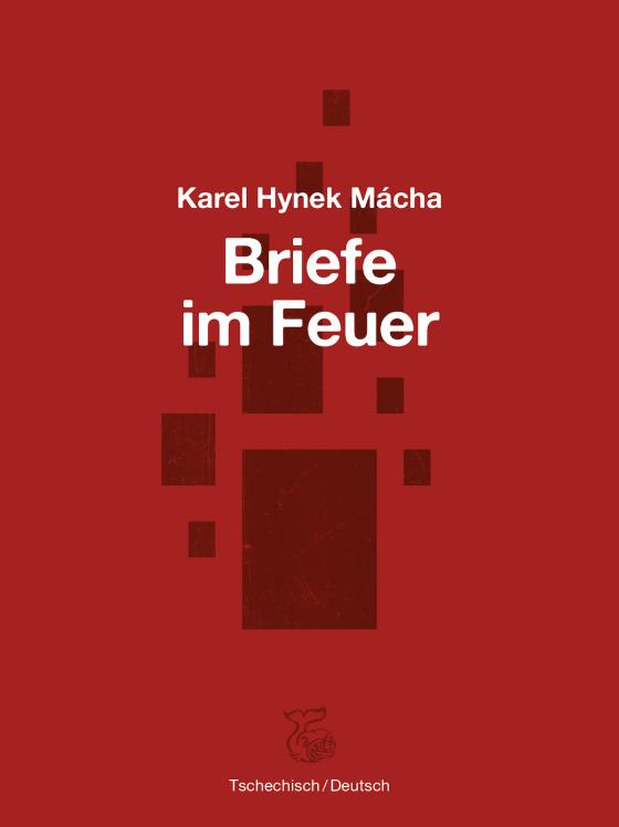 Cover-Bild Briefe im Feuer