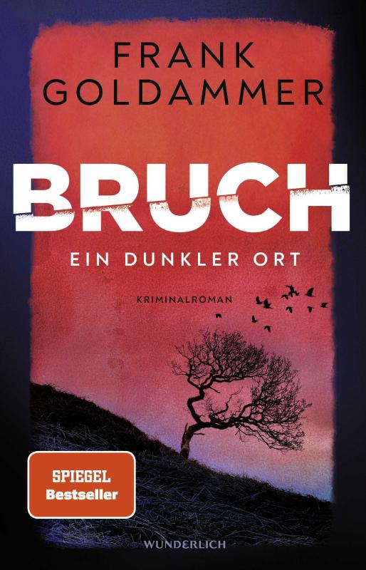Cover-Bild Bruch: Ein dunkler Ort