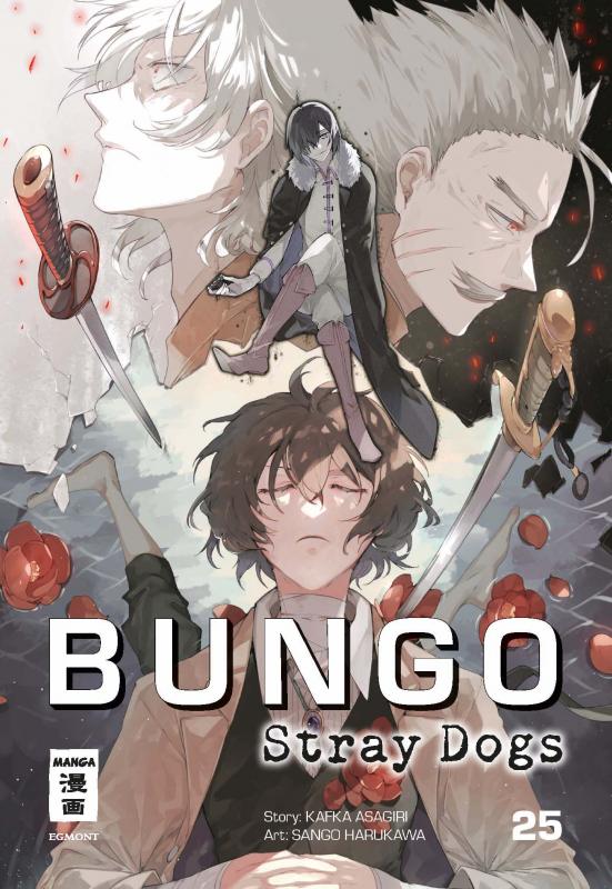Cover-Bild Bungo Stray Dogs 25