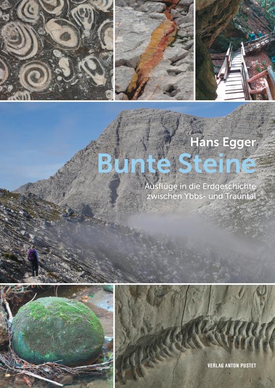 Cover-Bild Bunte Steine