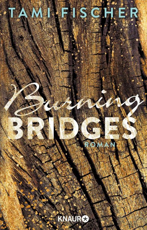 Cover-Bild Burning Bridges