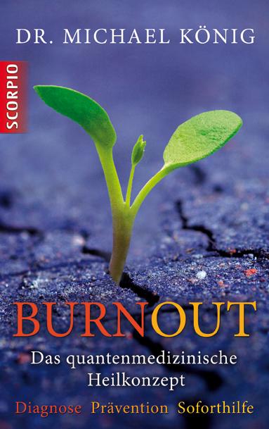 Cover-Bild Burnout