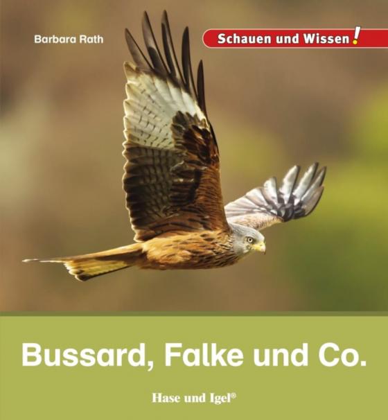 Cover-Bild Bussard, Falke und Co.