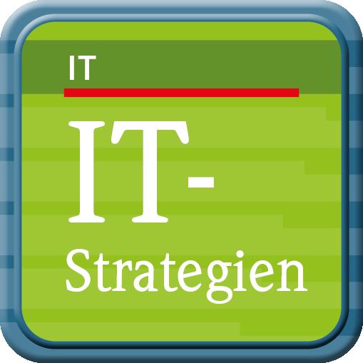 Cover-Bild Chancen, Umsetzung und Prüfung von IT-Strategien