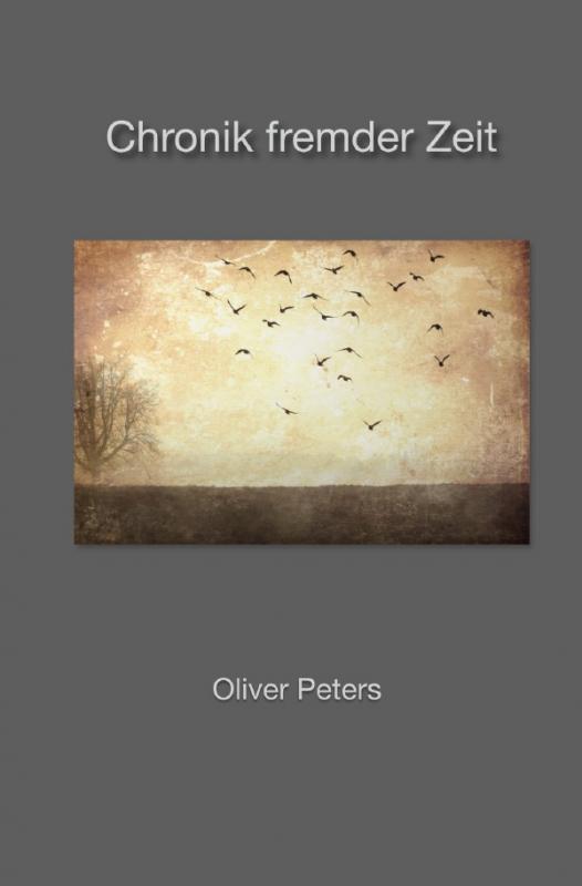 Cover-Bild Chronik fremder Zeit