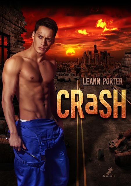 Cover-Bild Crash