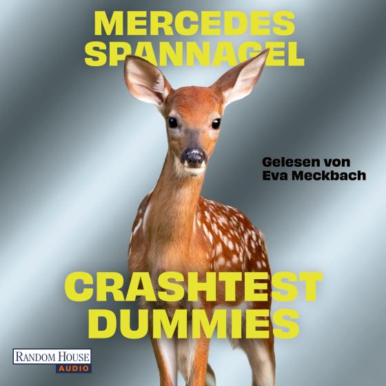 Cover-Bild Crashtest Dummies