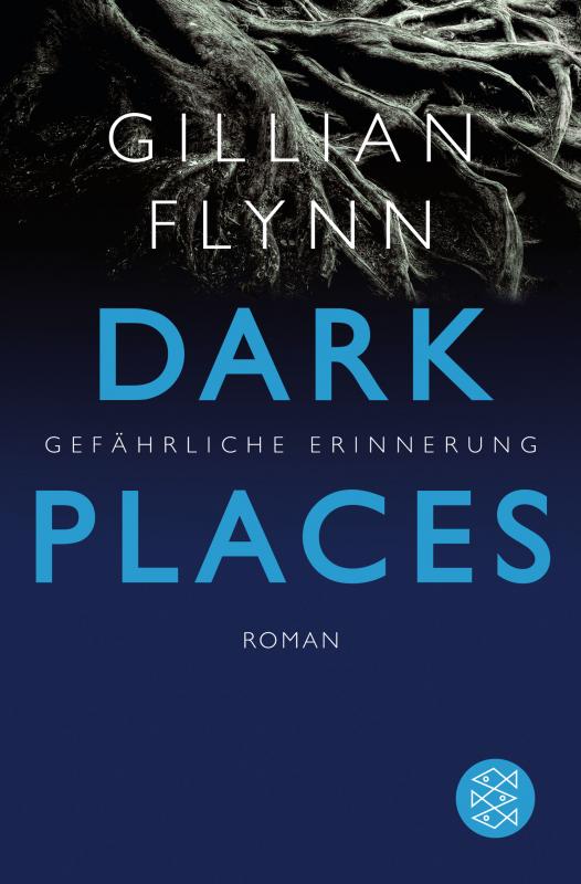 Cover-Bild Dark Places - Gefährliche Erinnerung