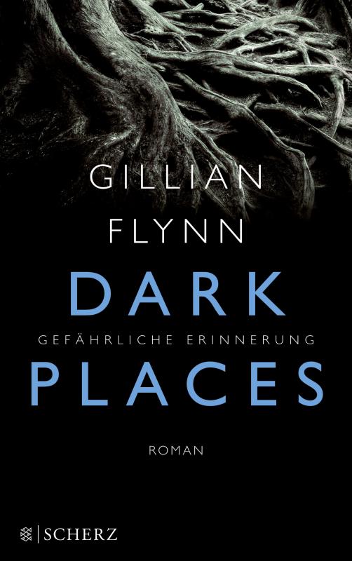 Cover-Bild Dark Places - Gefährliche Erinnerung