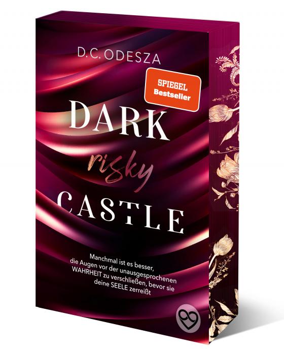 Cover-Bild DARK risky CASTLE