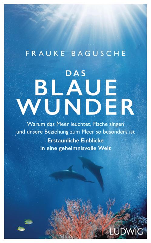 Cover-Bild Das blaue Wunder