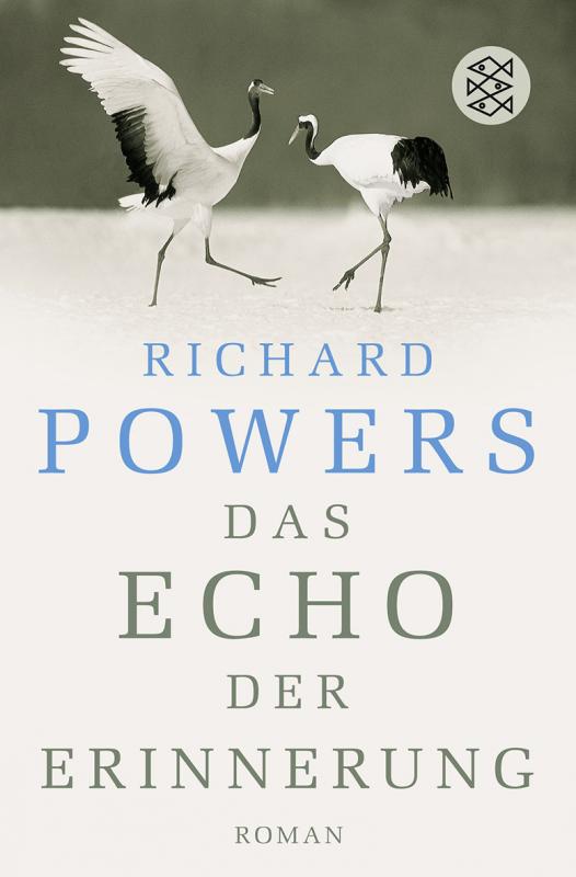 Cover-Bild Das Echo der Erinnerung