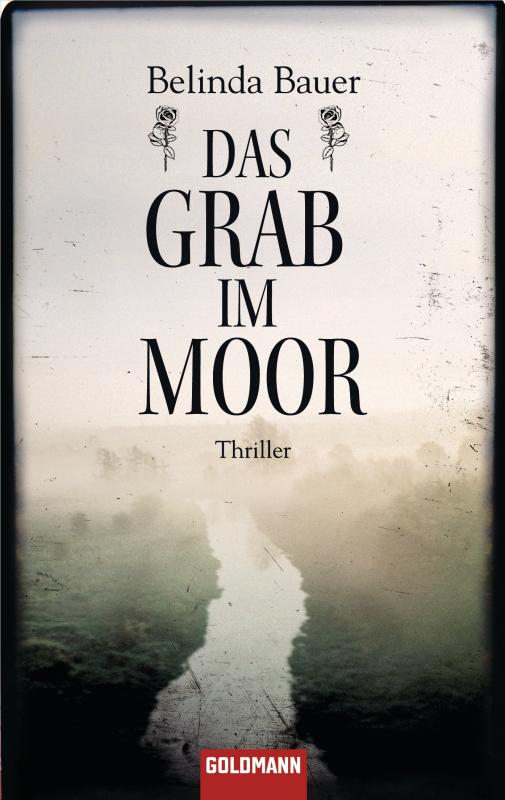 Cover-Bild Das Grab im Moor