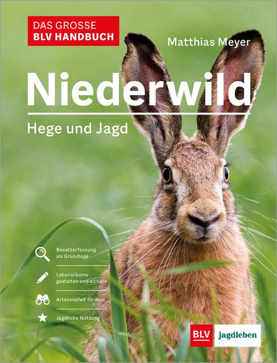 Cover-Bild Das große BLV Handbuch Niederwild