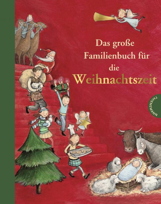 Cover-Bild Das große Familienbuch für die Weihnachtszeit