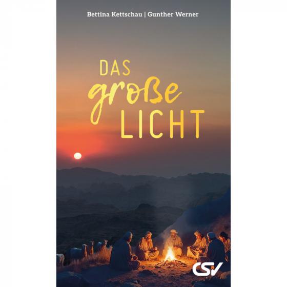 Cover-Bild Das große Licht