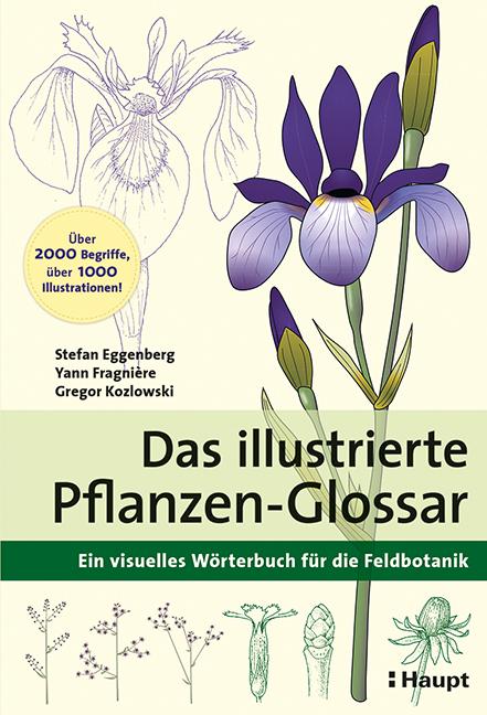 Cover-Bild Das illustrierte Pflanzen-Glossar