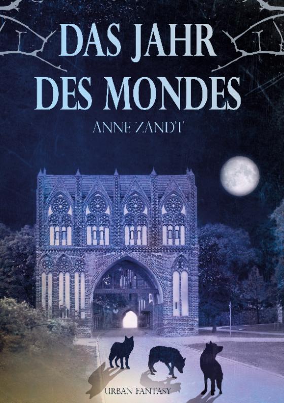 Cover-Bild Das Jahr des Mondes