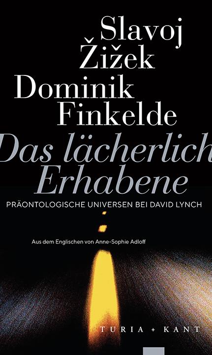 Cover-Bild Das lächerlich Erhabene