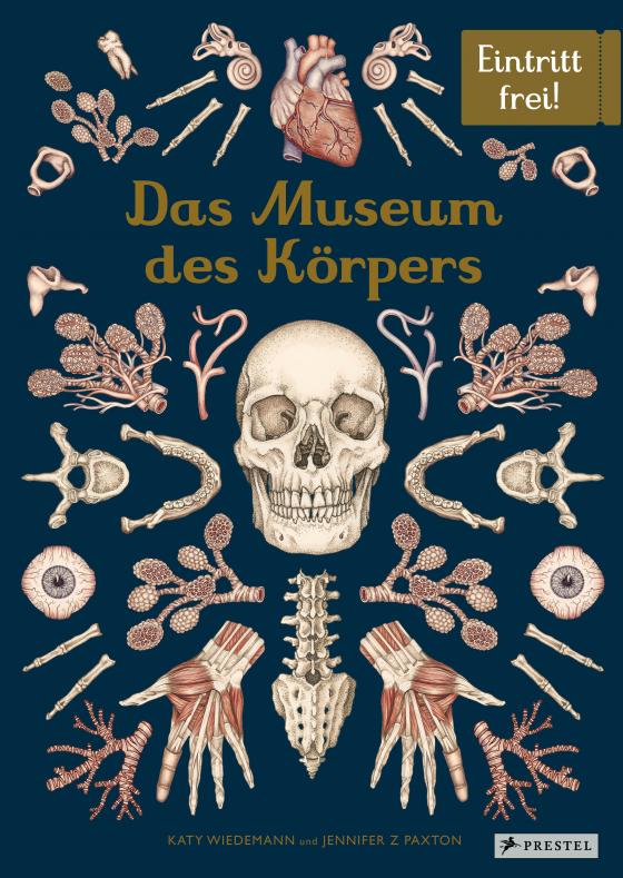 Cover-Bild Das Museum des Körpers