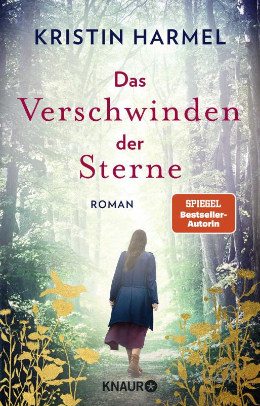 Cover-Bild Das Verschwinden der Sterne