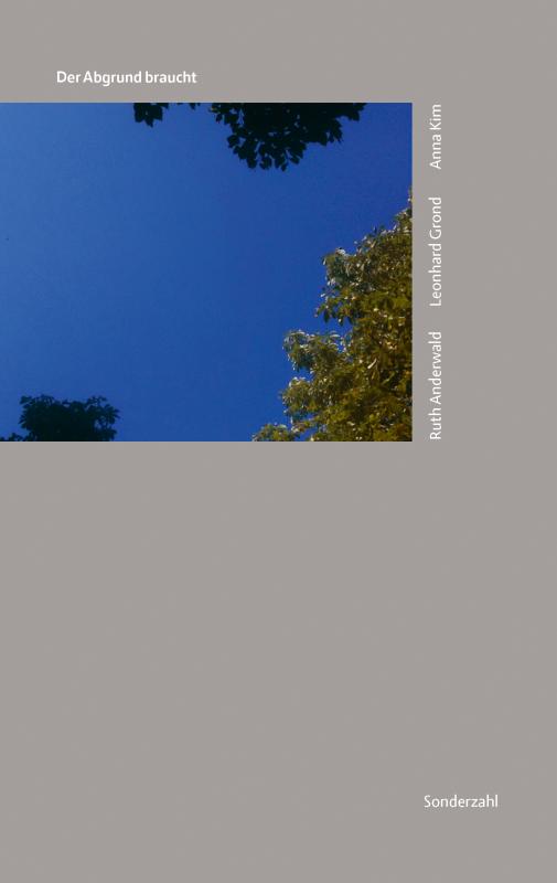 Cover-Bild Der Abgrund braucht