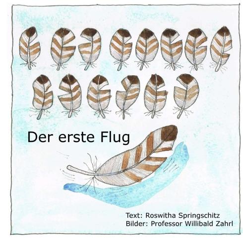 Cover-Bild Der erste Flug