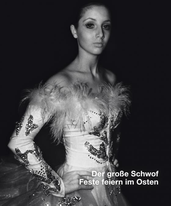 Cover-Bild Der große Schwof.