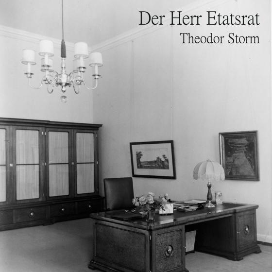 Cover-Bild Der Herr Etatsrat
