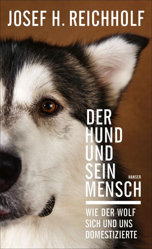 Cover-Bild Der Hund und sein Mensch