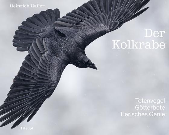 Cover-Bild Der Kolkrabe – Totenvogel, Götterbote, tierisches Genie